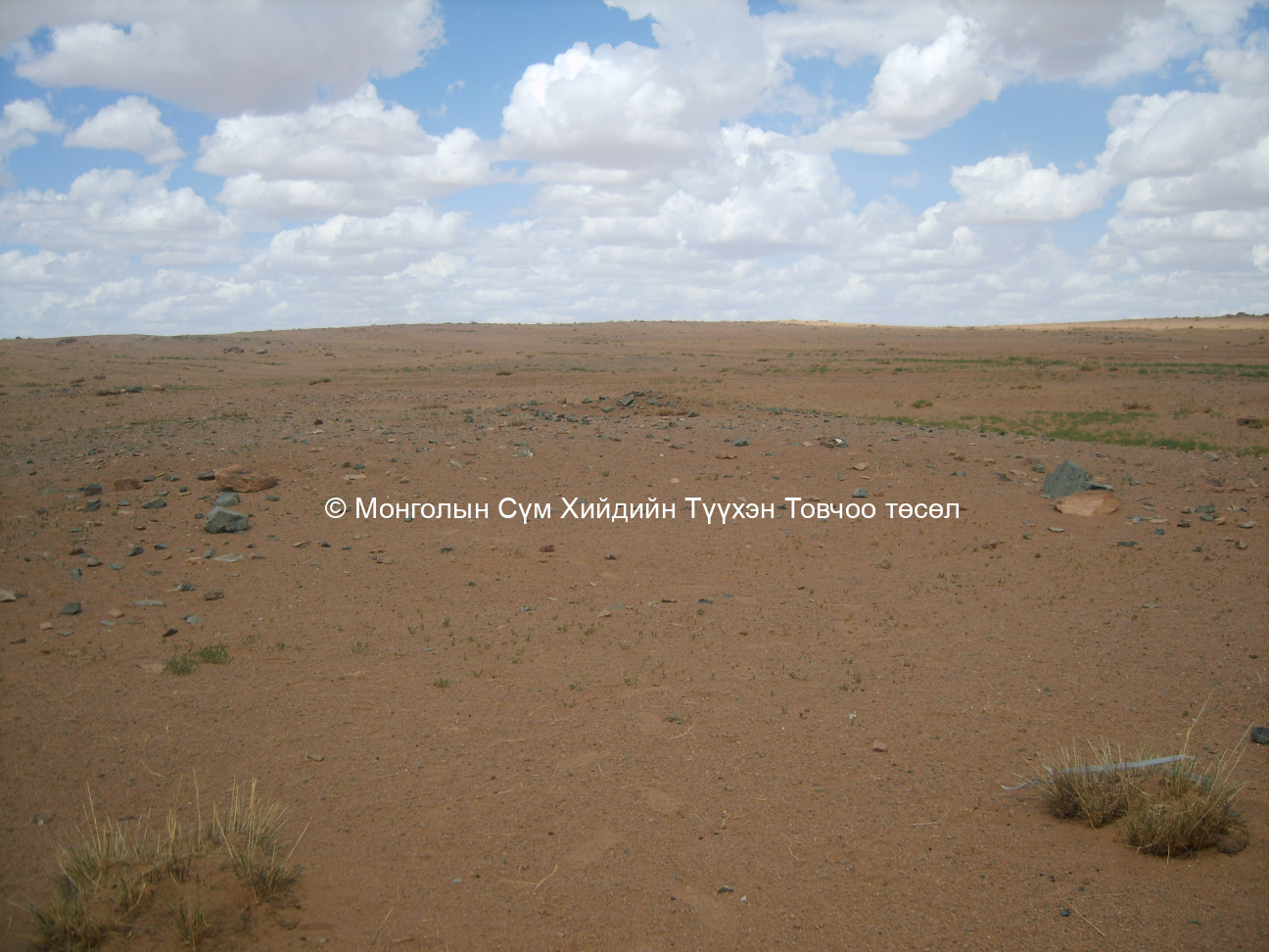 Өмнөд талаас авсан 